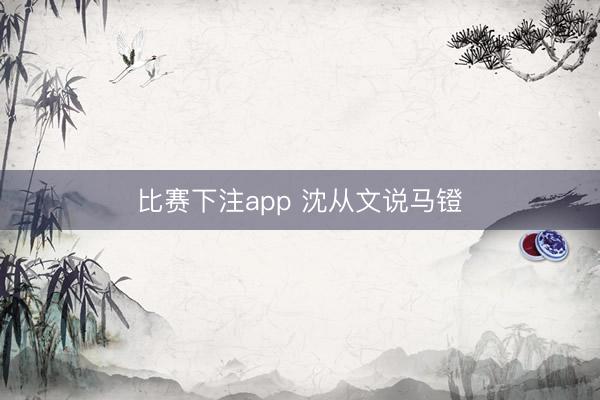 比赛下注app 沈从文说马镫