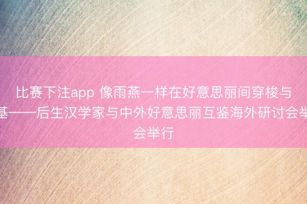 比赛下注app 像雨燕一样在好意思丽间穿梭与筑基——后生汉学家与中外好意思丽互鉴海外研讨会举行