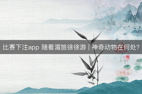 比赛下注app 随着湄旅徐徐游 | 神奇动物在何处？