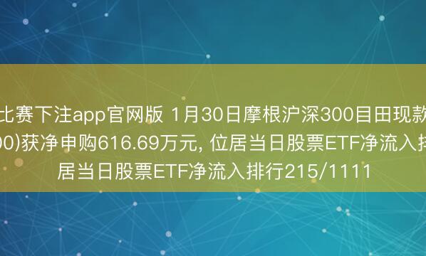 比赛下注app官网版 1月30日摩根沪深300目田现款流ETF(563900)获净申购616.69万元, 位居当日股票ETF净流入排行215/1111