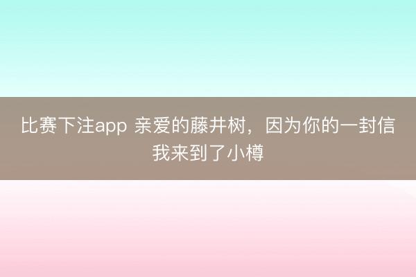比赛下注app 亲爱的藤井树，因为你的一封信我来到了小樽