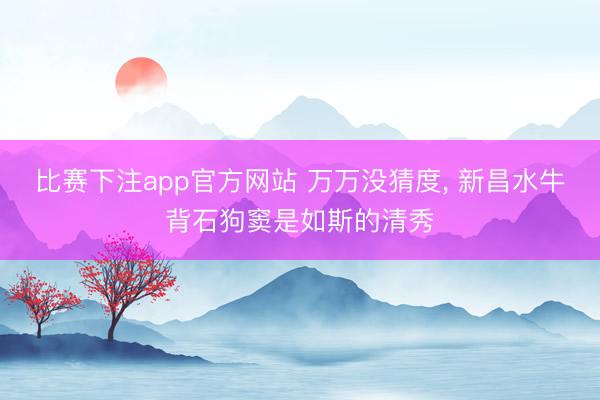 比赛下注app官方网站 万万没猜度, 新昌水牛背石狗窦是如斯的清秀