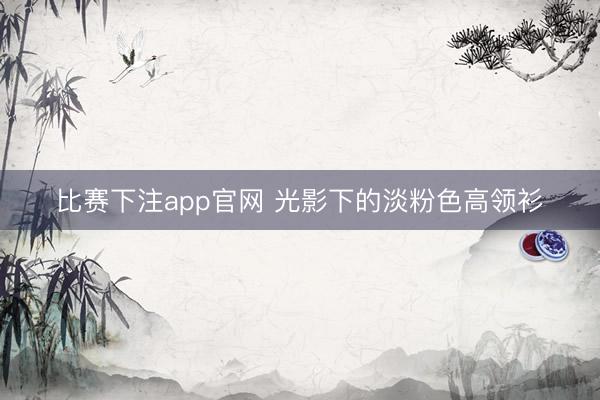 比赛下注app官网 光影下的淡粉色高领衫