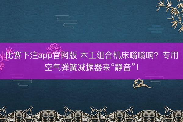 比赛下注app官网版 木工组合机床嗡嗡响？专用空气弹簧减振器来“静音”！