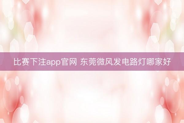 比赛下注app官网 东莞微风发电路灯哪家好