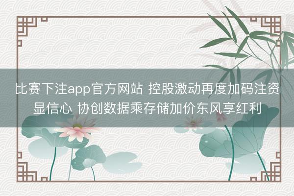 比赛下注app官方网站 控股激动再度加码注资显信心 协创数据乘存储加价东风享红利