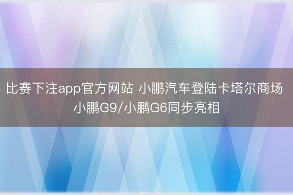 比赛下注app官方网站 小鹏汽车登陆卡塔尔商场 小鹏G9/小鹏G6同步亮相