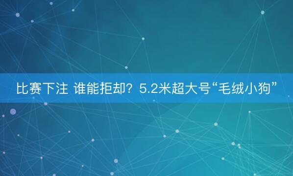 比赛下注 谁能拒却？5.2米超大号“毛绒小狗”