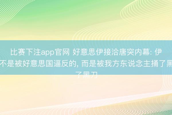 比赛下注app官网 好意思伊接洽唐突内幕: 伊朗不是被好意思国逼反的， 而是被我方东说念主捅了黑刀
