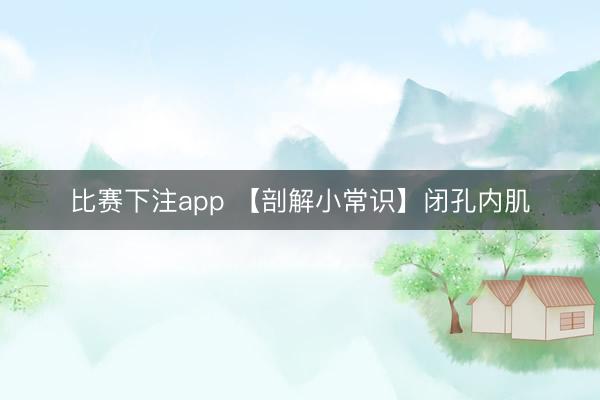 比赛下注app 【剖解小常识】闭孔内肌