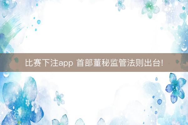 比赛下注app 首部董秘监管法则出台!