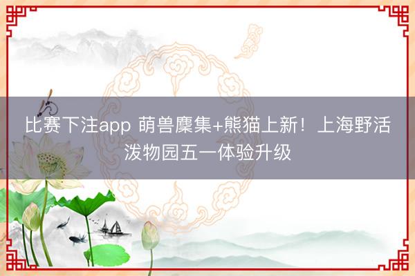 比赛下注app 萌兽麇集+熊猫上新！上海野活泼物园五一体验升级
