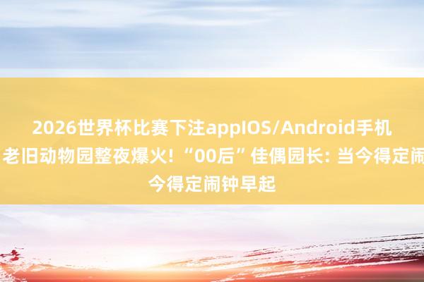 2026世界杯比赛下注appIOS/Android手机版下载 老旧动物园整夜爆火! “00后”佳偶园长: 当今得定闹钟早起