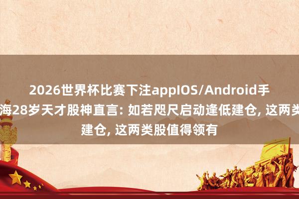 2026世界杯比赛下注appIOS/Android手机版下载 上海28岁天才股神直言: 如若咫尺启动逢低建仓， 这两类股值得领有