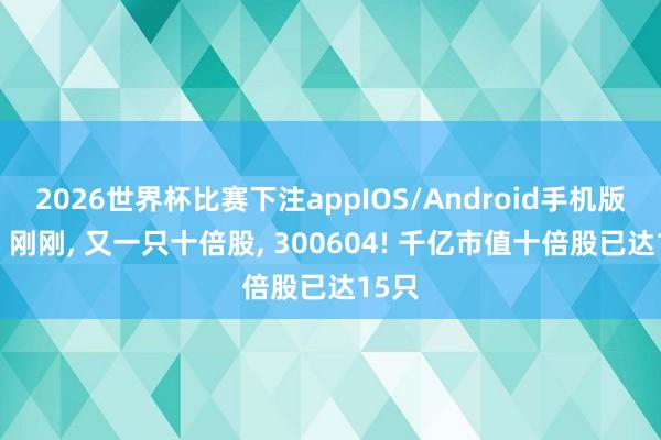 2026世界杯比赛下注appIOS/Android手机版下载 刚刚， 又一只十倍股， 300604! 千亿市值十倍股已达15只