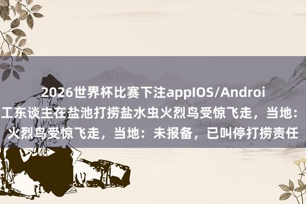 2026世界杯比赛下注appIOS/Android手机版下载 山西运城有工东谈主在盐池打捞盐水虫火烈鸟受惊飞走，当地：未报备，已叫停打捞责任