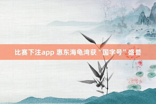 比赛下注app 惠东海龟湾获“国字号”盛誉