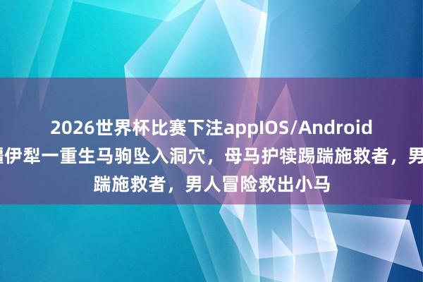 2026世界杯比赛下注appIOS/Android手机版下载 新疆伊犁一重生马驹坠入洞穴，母马护犊踢踹施救者，男人冒险救出小马