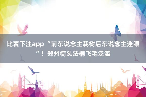 比赛下注app “前东说念主栽树后东说念主迷眼”！郑州街头法桐飞毛泛滥