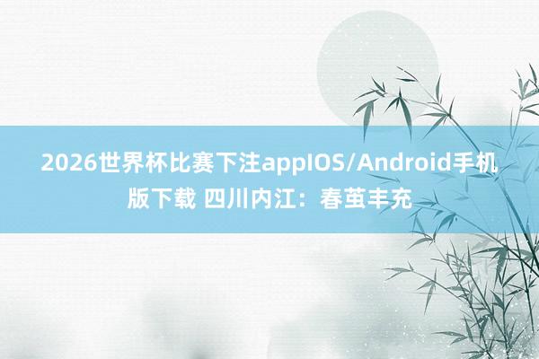 2026世界杯比赛下注appIOS/Android手机版下载 四川内江：春茧丰充