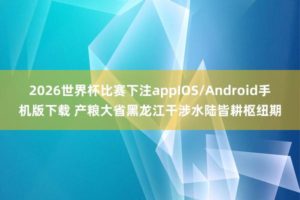 2026世界杯比赛下注appIOS/Android手机版下载 产粮大省黑龙江干涉水陆皆耕枢纽期