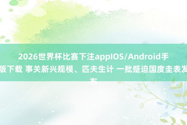 2026世界杯比赛下注appIOS/Android手机版下载 事关新兴规模、匹夫生计 一批蹙迫国度圭表发布