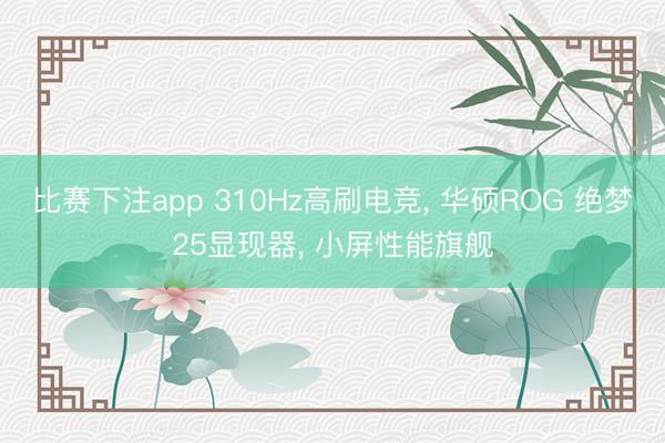 比赛下注app 310Hz高刷电竞， 华硕ROG 绝梦25显现器， 小屏性能旗舰