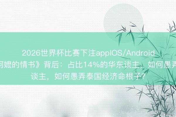 2026世界杯比赛下注appIOS/Android手机版下载 《给阿嬷的情书》背后：占比14%的华东谈主，如何愚弄泰国经济命根子？