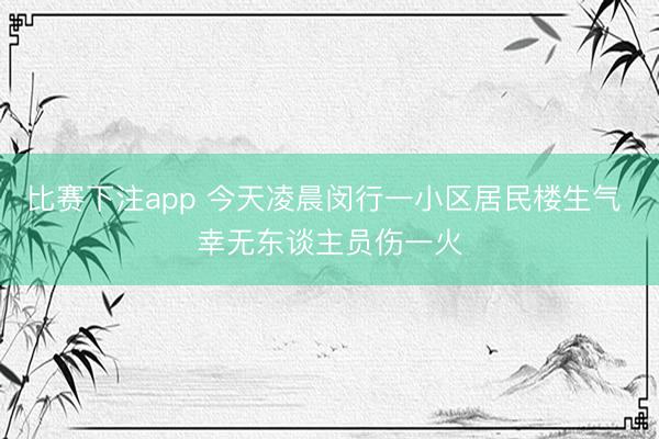 比赛下注app 今天凌晨闵行一小区居民楼生气 幸无东谈主员伤一火