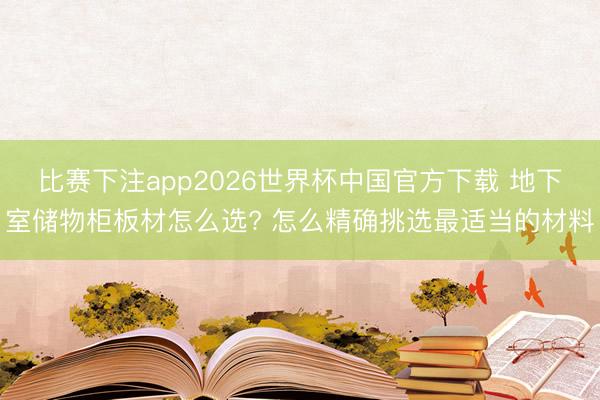 比赛下注app2026世界杯中国官方下载 地下室储物柜板材怎么选? 怎么精确挑选最适当的材料