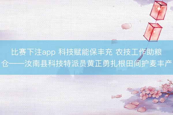 比赛下注app 科技赋能保丰充 农技工作助粮仓——汝南县科技特派员黄正勇扎根田间护麦丰产
