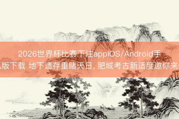 2026世界杯比赛下注appIOS/Android手机版下载 地下遗存重睹天日， 肥城考古新适度邀你来看
