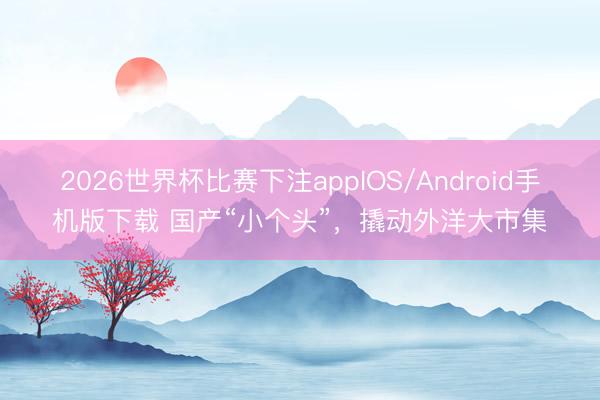 2026世界杯比赛下注appIOS/Android手机版下载 国产“小个头”，撬动外洋大市集