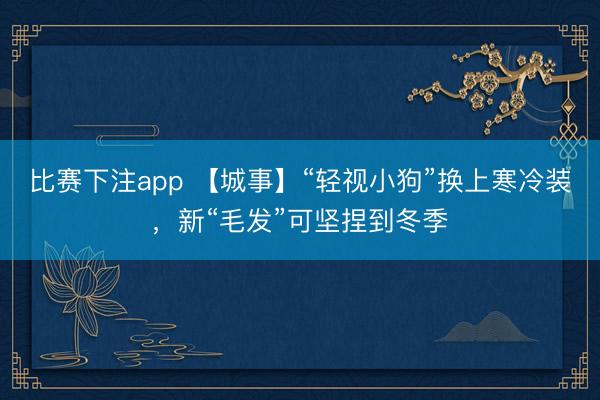 比赛下注app 【城事】“轻视小狗”换上寒冷装，新“毛发”可坚捏到冬季