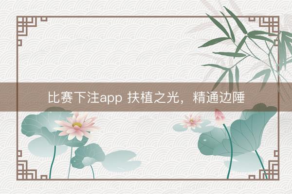 比赛下注app 扶植之光，精通边陲
